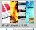 E-effizienteKMU