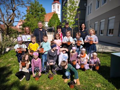 Klimafitte Zukunft zum Wurzeln – Pflanzaktion und Schulbaum in der VS Straden
