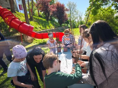 Klimafitte Zukunft zum Wurzeln – Pflanzaktion und Schulbaum in der VS Straden