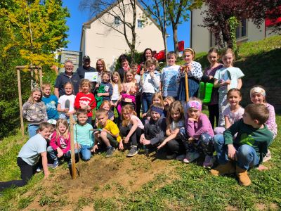 Klimafitte Zukunft zum Wurzeln – Pflanzaktion und Schulbaum in der VS Straden
