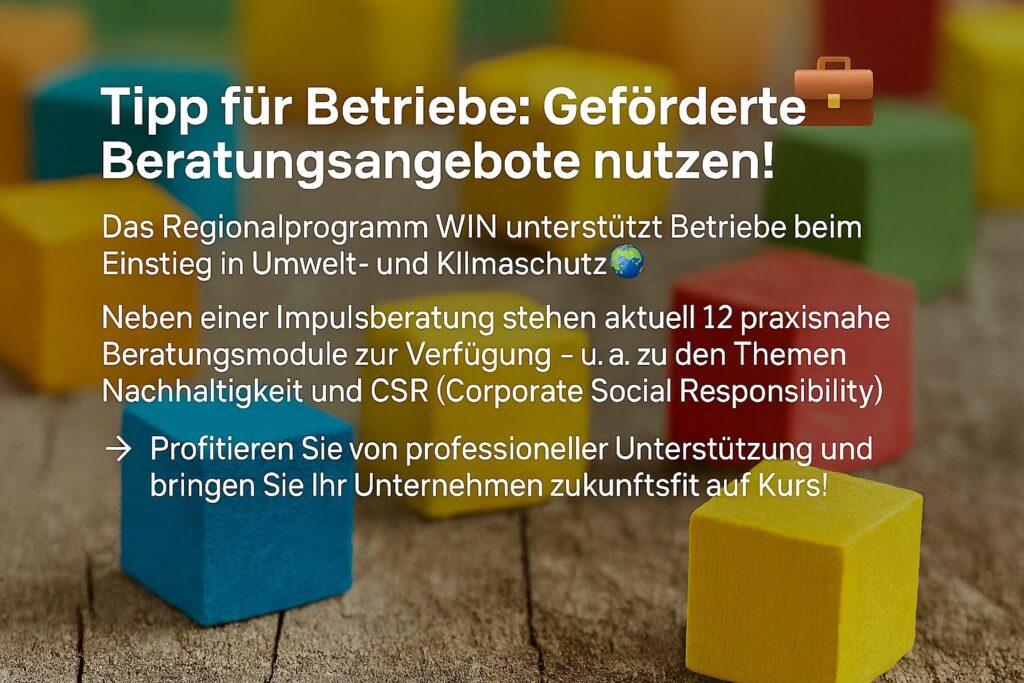 Geförderte Beratungsangebote nutzen!