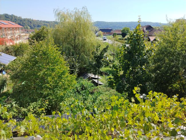 „Blick von oben auf die Oase - nun sieht man auch Straße und Nachbarn. Man bemerke den stockwerkartigen Aufbau- dieser schafft Wohlfühl-Nischen zu jeder Tageszeit, sowie Lebensräume für Igel, Amsel und Tagpfauenauge.“ 