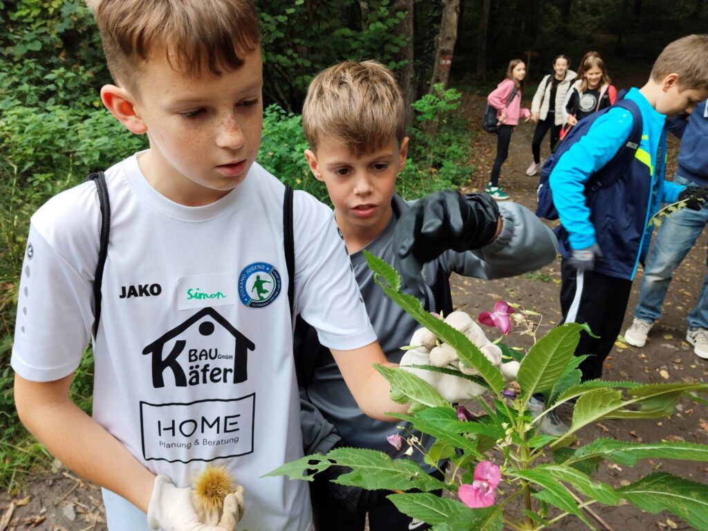 Neophyten-Wanderung in der Mittelschule St. Anna 4