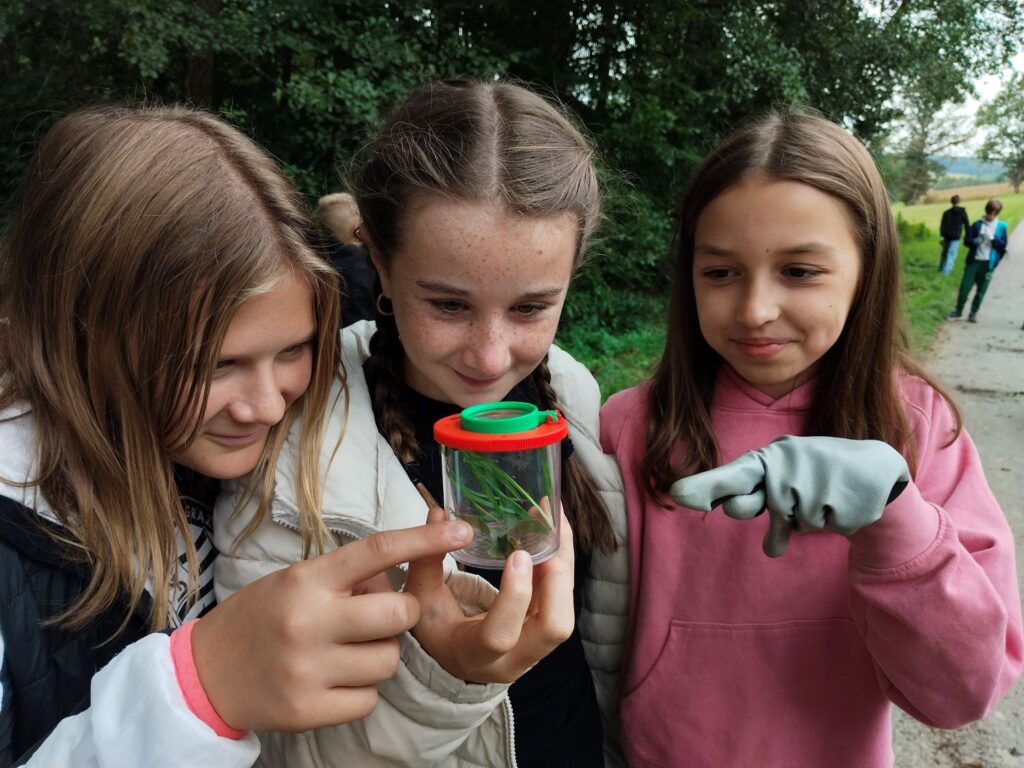 Neophyten-Wanderung in der Mittelschule St. Anna 3