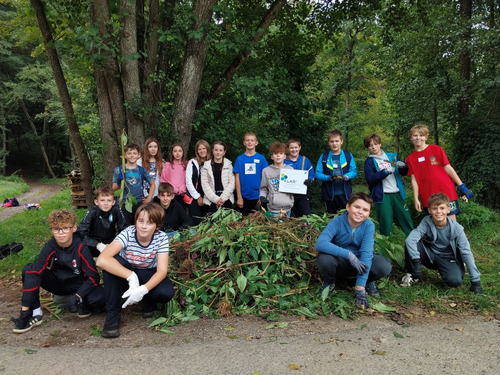 Neophyten-Wanderung in der Mittelschule St. Anna 2