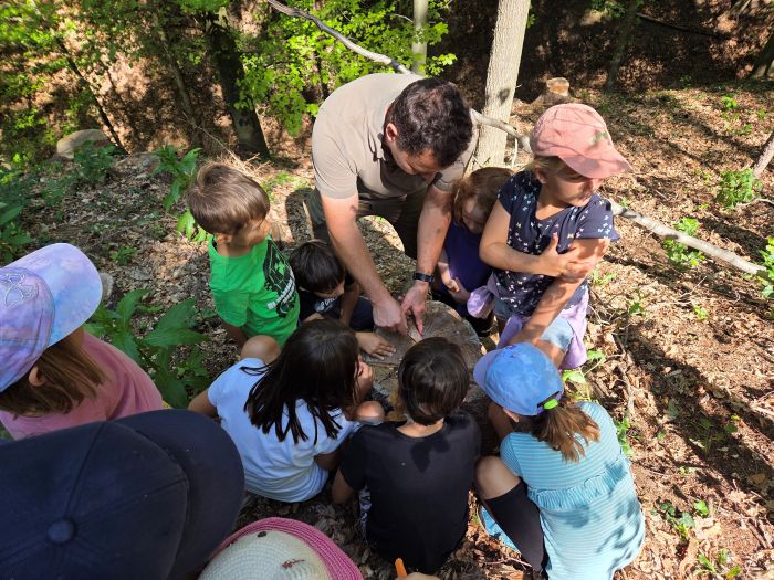 Zusammen mit Förster Andreas Schmiedl wurden Wald-Schätze gesammelt, Jahresringe gezählt und Baumrinden untersucht.