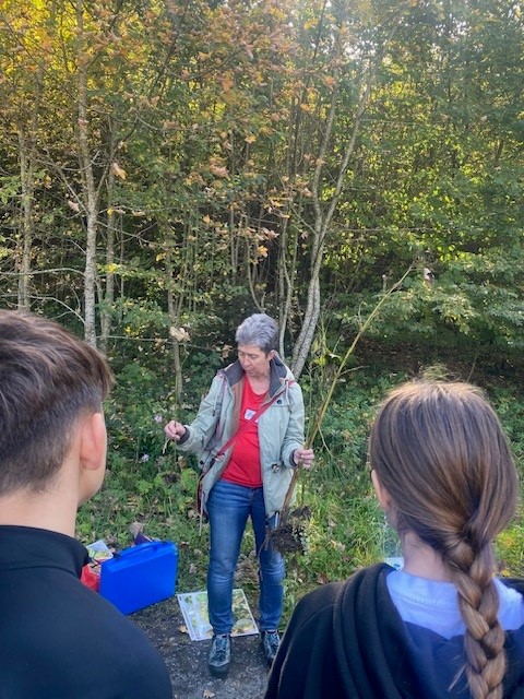 Schüler:innen der MS Kirchberg an der Raab auf Neophyten-Spurensuche