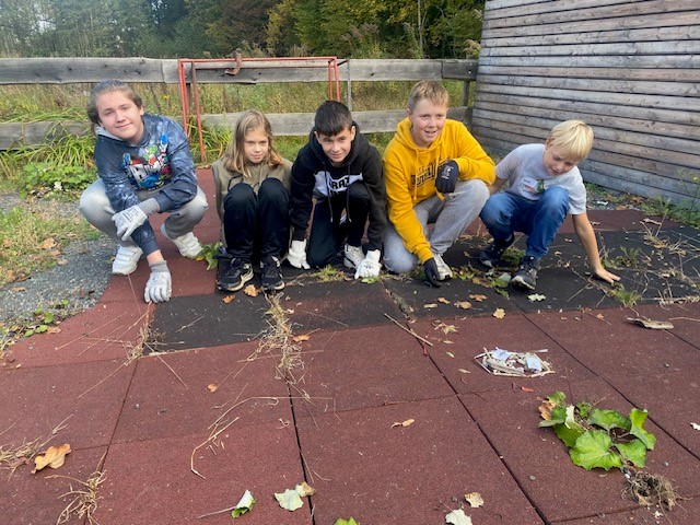 Schüler:innen der MS Kirchberg an der Raab auf Neophyten-Spurensuche
