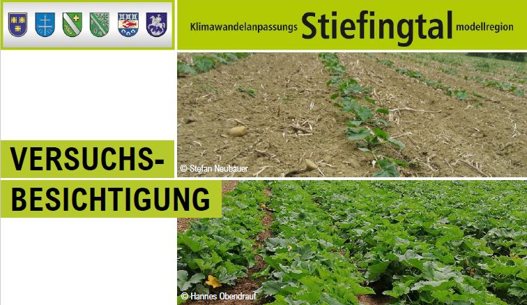 Erosionsschutz beim Kürbisanbau, 28.08.2020 in St. Georgen a.d.S.