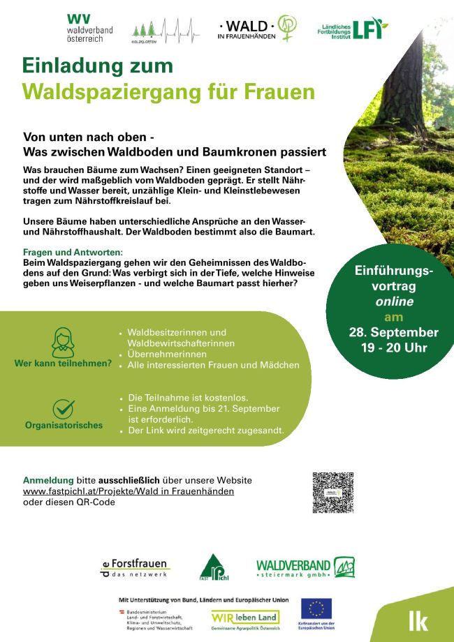 Waldspaziergang