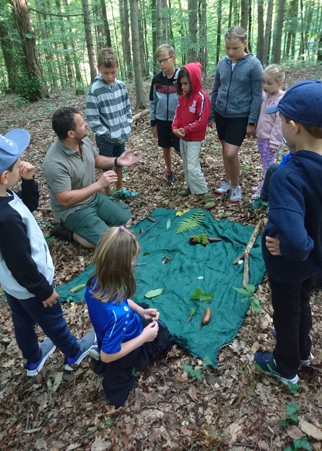 Abenteuer Wald Riegersburg