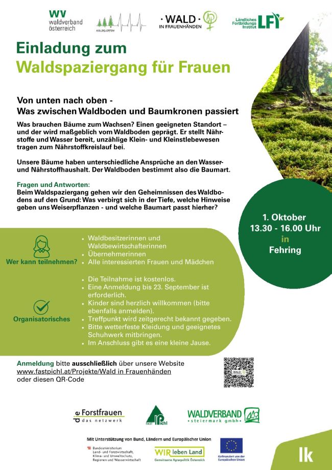 Waldspaziergang
