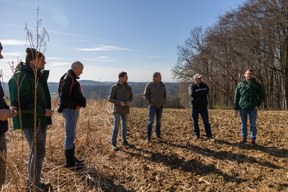 Bodenbearbeitung und Begrünung