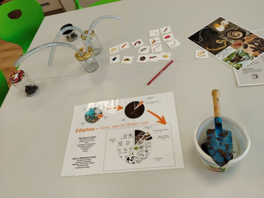 Eindrücke von der Station „Bodenleben“ der KEM am „Bodentag“ der dritten Klassen der MS Gnas (Fotos: Schaberl)