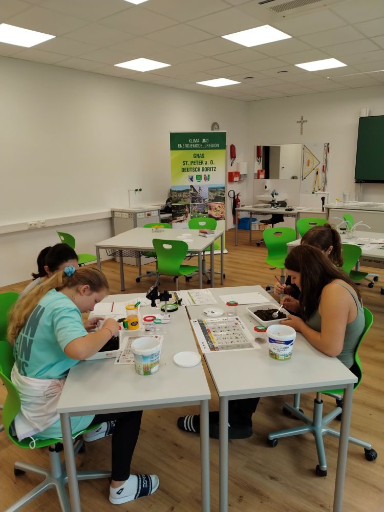 Eindrücke von der Station „Bodenleben“ der KEM am „Bodentag“ der dritten Klassen der MS Gnas (Fotos: Schaberl)