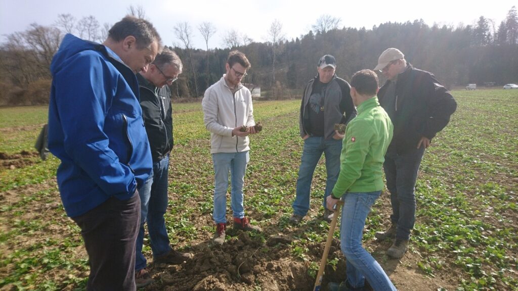 Feldtag Begrünung nach Sojabohne