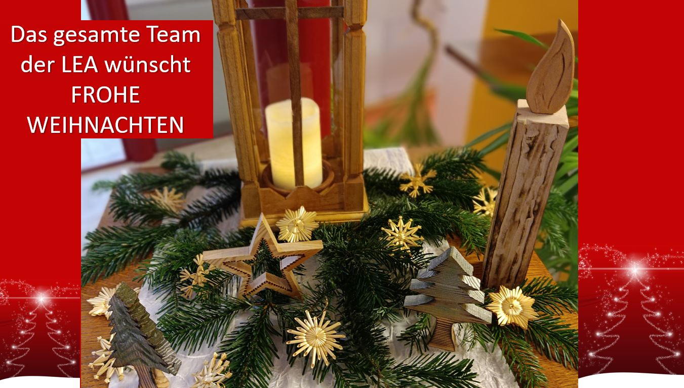 Das gesamte LEA Team wünscht Frohe Weihnachten