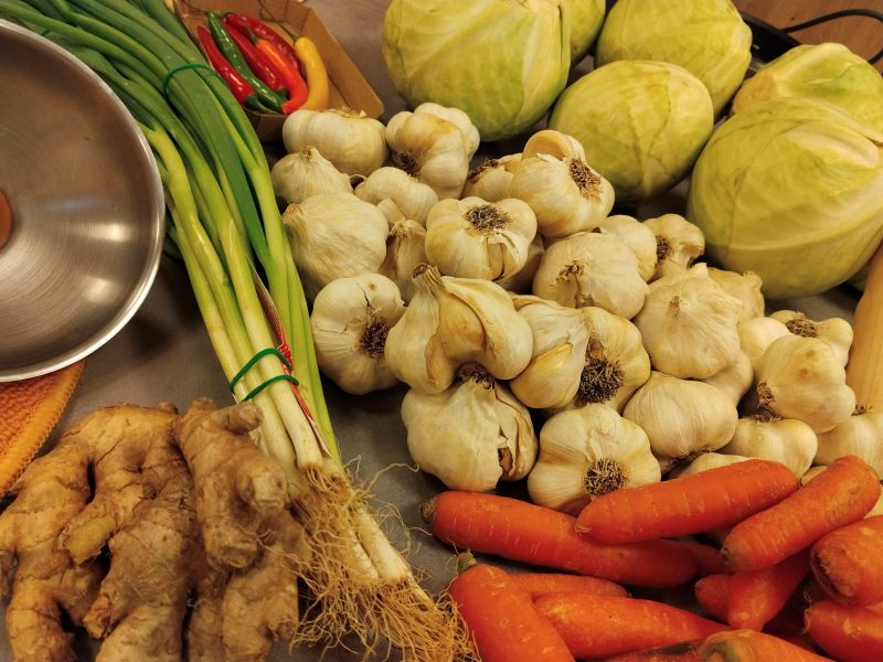 Fermentieren leicht gemacht! – Follow-Up 