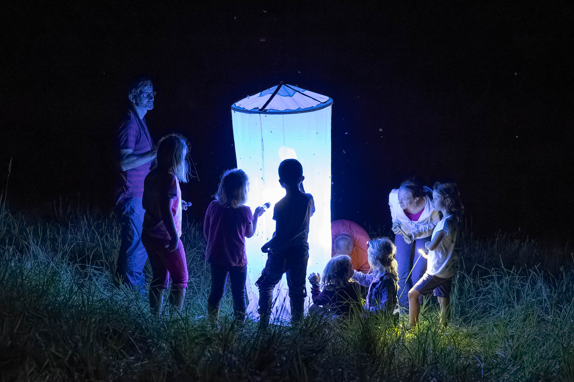 Nachtfalterwanderung Unterlamm