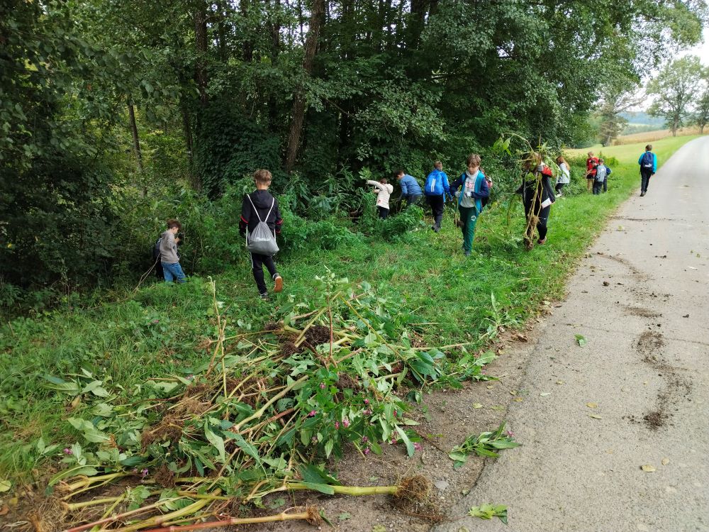 Neophyten-Wanderung in der Mittelschule St. Anna