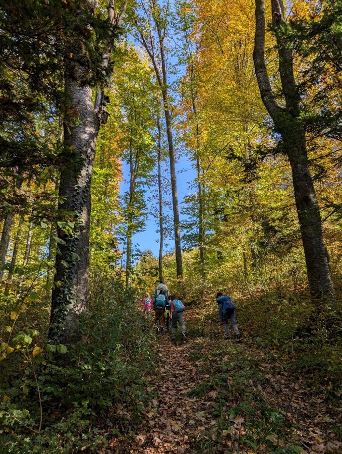 Ferien(s)pass in Riegersburg: Abenteuer Wald