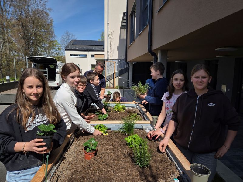 Frische Kräuter für die Schulküche