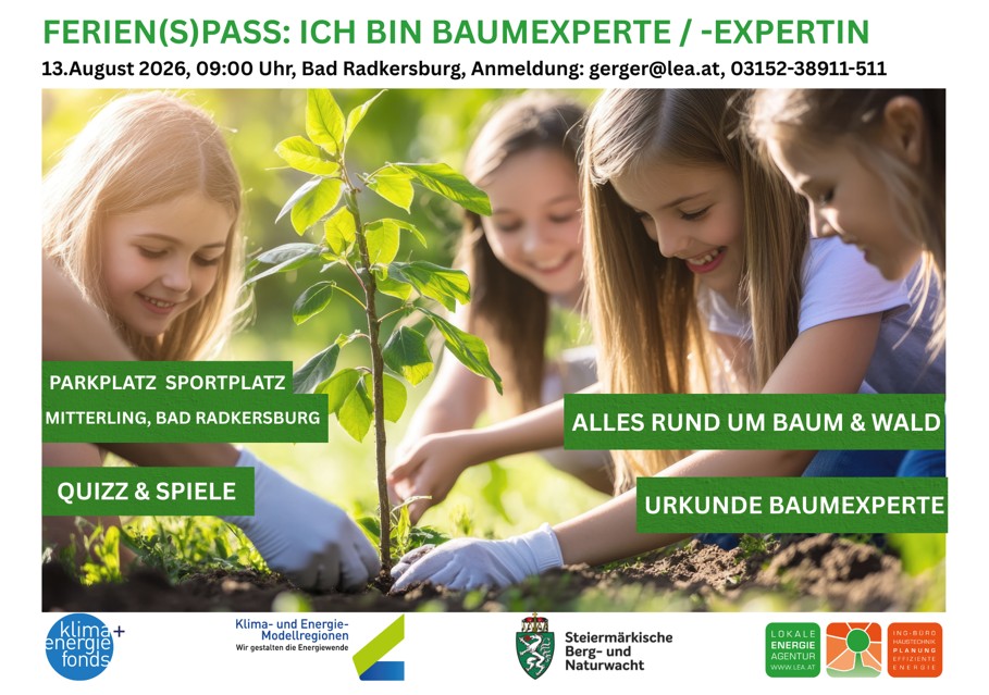 Ich bin Baumexperte Ferienspass