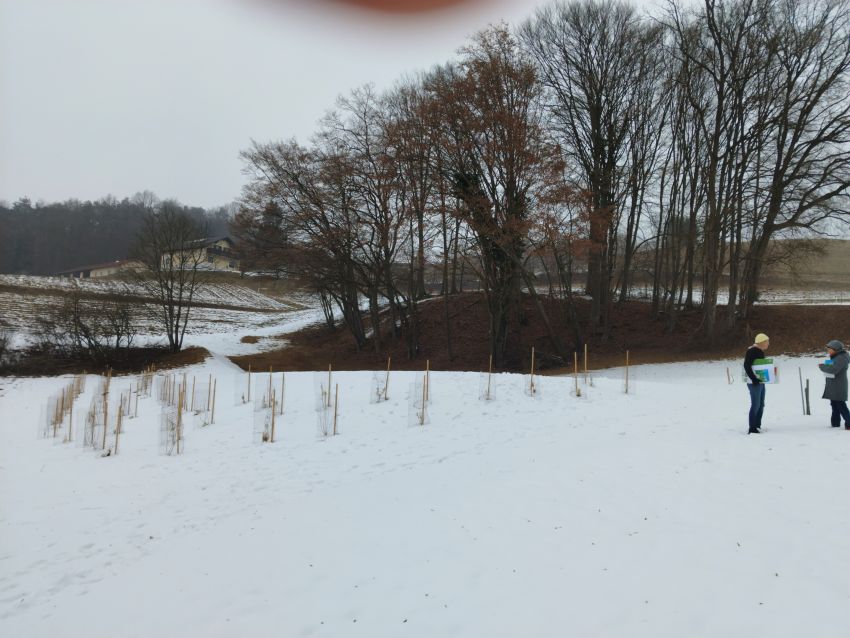 Klima- und Energiemodellregion  „Gnas – St. Peter am Ottersbach“